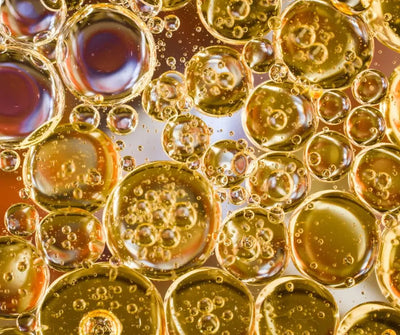 Extracto de Nopal / Agave (Cactus)